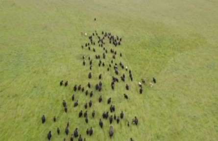 天津：圍繞對口幫扶地區(qū)特色資源 打造優(yōu)勢產(chǎn)業(yè)