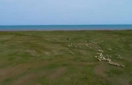 【奮進(jìn)新征程 建功新時(shí)代·偉大變革】我國(guó)生態(tài)保護(hù)修復(fù)取得歷史性成就