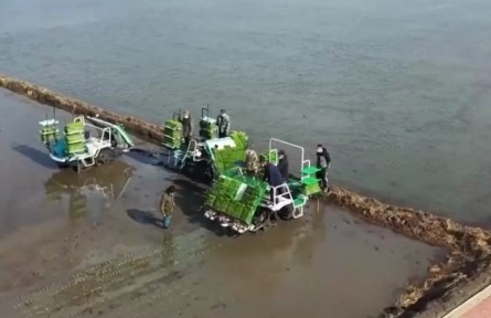 黑龍江佳木斯：水稻插秧全面開(kāi)展 科技助力農(nóng)業(yè)生產(chǎn)