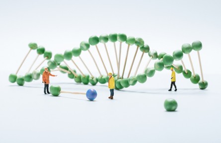 科技名詞 | 孟德爾遺傳定律