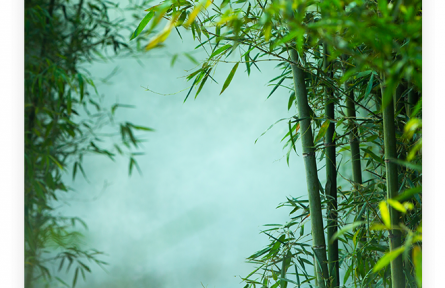 名言 | 孔子：君子坦蕩蕩，小人長(zhǎng)戚戚