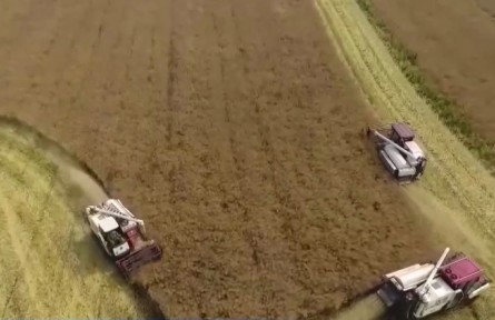 【在希望的田野上·三夏時(shí)節(jié)】我國夏油喜獲豐收 單產(chǎn)有望創(chuàng)歷史新高