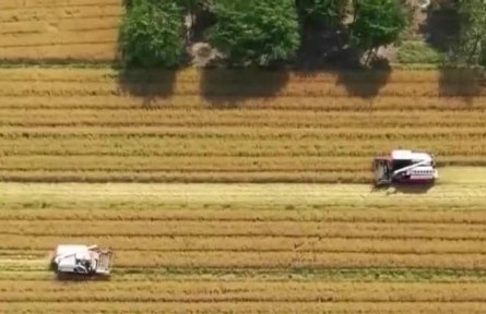 【在希望的田野上·三夏時(shí)節(jié)】我國夏收拉開序幕 大規(guī)模機(jī)收即將展開
