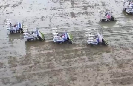 四川成都：搶收搶種搶農(nóng)時(shí) 全鏈條機(jī)械化作業(yè)提效率