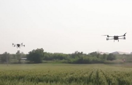 山西晉城：克服晚播影響 搶抓時(shí)機(jī)保增產(chǎn)