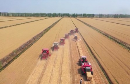 【在希望的田野上·三夏時(shí)節(jié)】我國(guó)夏糧大面積開鐮收獲