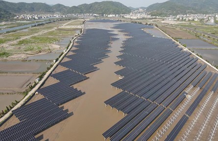 潮光互補智能光伏電站 solar-tidal intelligent photovoltaic power plant
