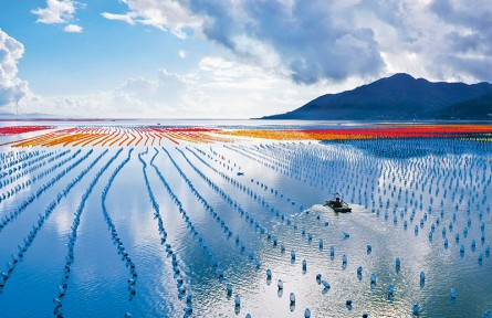 《求是》雜志編輯部：讓中華大地天更藍、山更綠、水更清、環(huán)境更優(yōu)美