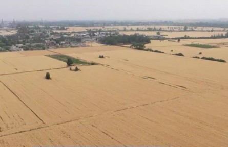 【在希望的田野上·三夏時(shí)節(jié)】我國(guó)夏收過兩成半 進(jìn)展順利