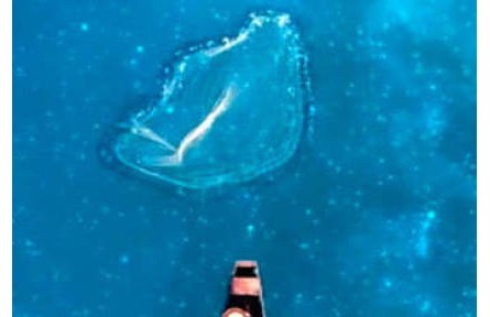 這樣的山水，很中國