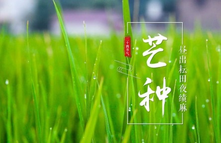 芒種，晝出耘田夜績麻