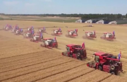 【在希望的田野上·三夏時(shí)節(jié)】我國(guó)夏糧主產(chǎn)區(qū)麥?zhǔn)者^(guò)半 總體進(jìn)展順利