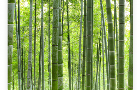 名言 | 蘇軾：君子以其身之正，知人之不正；以人之不正，知其身之所未正也