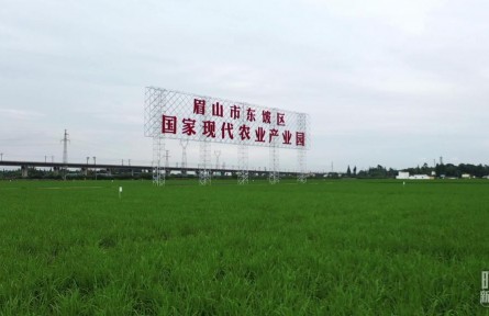 時(shí)政新聞眼 | 習(xí)近平再赴四川考察，在眉山重點(diǎn)關(guān)注了什么？