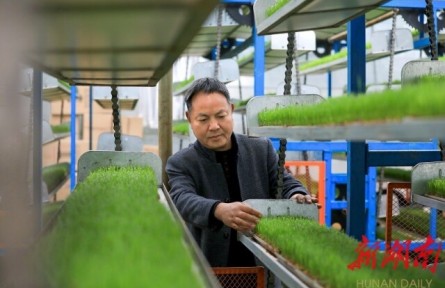 湖南岳陽(yáng)金興村：誰(shuí)知盤中餐，粒粒皆“智慧”