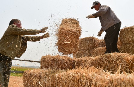 綠色中國“加減法” 秸稈綜合利用 “生態(tài)包袱”變“綠色財(cái)富”