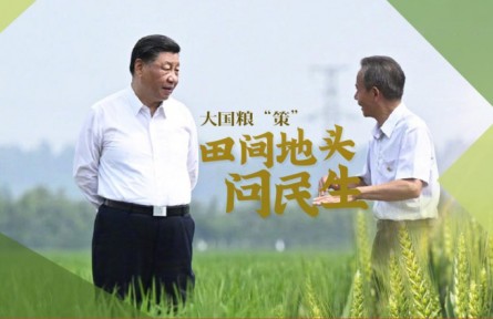 大國糧“策”|田間地頭問民生