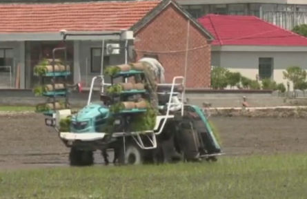 全國夏種已完成意向面積近七成半