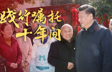 踐行囑托十年間|發(fā)展特色富民產(chǎn)業(yè)，扎扎實實把鄉(xiāng)村振興戰(zhàn)略實施好