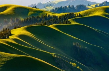 自然文學(xué)、生態(tài)文學(xué)的價值坐標(biāo)與現(xiàn)實(shí)之維