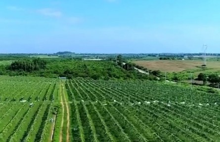海南率先在全國推廣博士科技農莊