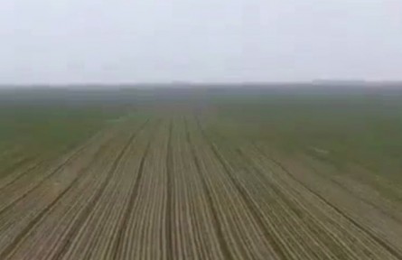 陜西：高標準造良田 保障糧食安全