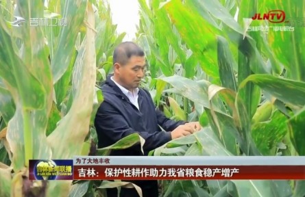 吉林：保護性耕作助力糧食穩(wěn)產(chǎn)增產(chǎn)