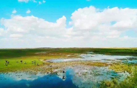 大美邊疆行 | 駿馬揚鬃逐夢去，民富邊興幸福長