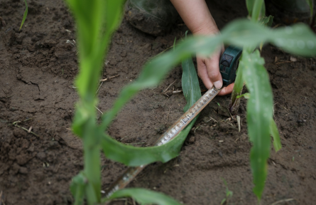 黑土地保護(hù)法 law on black soil conservation