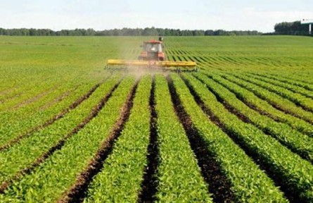 不誤農(nóng)時促夏管 夯實糧食穩(wěn)產(chǎn)基礎(chǔ)