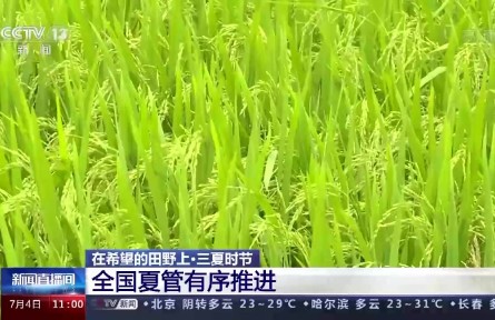 三分種七分管 全國夏管有序推進(jìn)