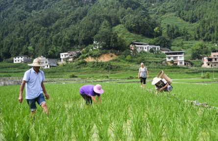 這些一次性補(bǔ)貼、補(bǔ)助！你領(lǐng)到了嗎？