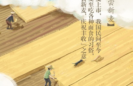 夏至丨喜嘗新麥！你最愛吃哪款面食？