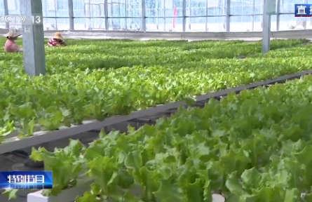 從甘肅榆中田園出發(fā) 在世界餐桌相遇