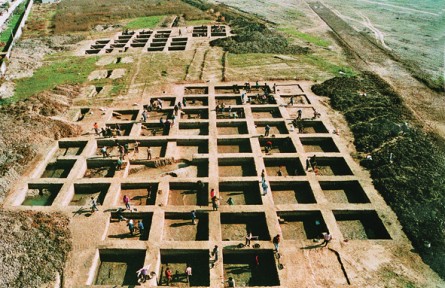 考古探源長三角古農業(yè)文明