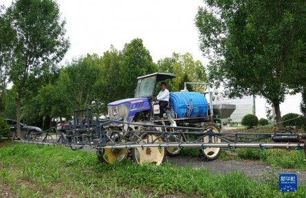 多種糧、種好糧——種糧大戶在行動