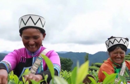 【奮進新征程 建功新時代·大美邊疆行】一起走進云南和廣西