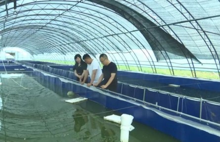 黑龍江：水蛭“落戶”江川農(nóng)場 助力職工增收