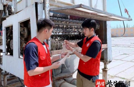 效率提高20倍！南京林業(yè)大學(xué)學(xué)子發(fā)明智能分揀系統(tǒng)，助力新疆長絨棉豐產(chǎn)增收