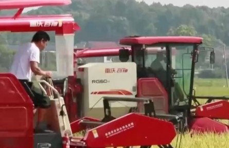 湖南寧鄉(xiāng)：早稻陸續(xù)進(jìn)入收獲期 大面積收割開(kāi)始