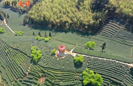 央視快評：保護農業(yè)文化遺產(chǎn)是人類共同的責任