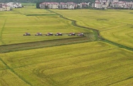 【在希望的田野上】全國(guó)早稻收獲過(guò)半 進(jìn)展總體順利