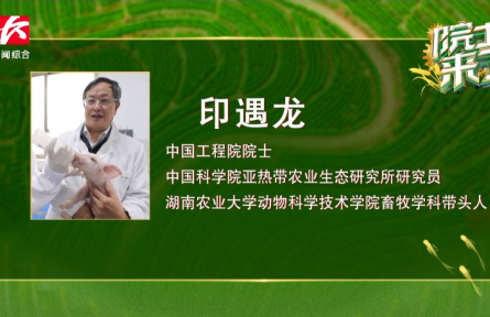 “養(yǎng)豬院士”印遇龍：用科技幫助農(nóng)民“養(yǎng)好豬、好養(yǎng)豬”