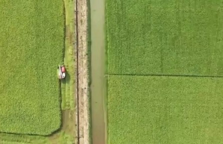 夏收夏種進(jìn)行時 顆粒歸倉迎豐收