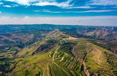 從綠滿旱塬到金山銀山——甘肅定西新一輪退耕還林拓寬生態(tài)致富路