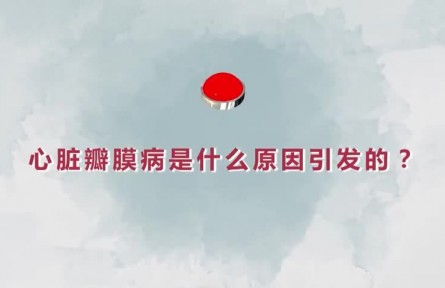 健康問答 | 心臟瓣膜病是什么原因引發(fā)的？如何精準(zhǔn)治療？