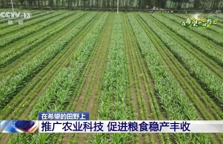 數(shù)字信息采集、肥水一體化自動灌溉……這些智慧農(nóng)業(yè)設(shè)施幫助農(nóng)民抗旱保豐收
