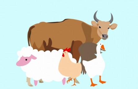 三農詞條：畜牧業(yè)