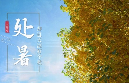 處暑，卻道天涼好個秋