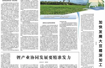 大豆玉米復(fù)合種植還需闖關(guān)